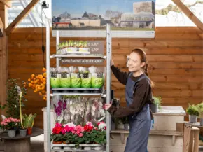 Flowershop