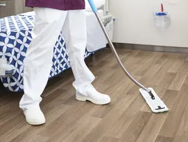 mops dusting & scrubbing Elis