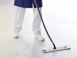 mops all surface Elis